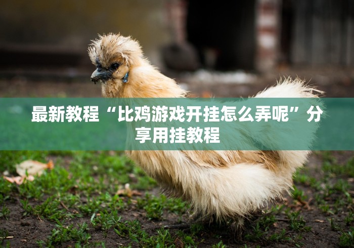 最新教程“比鸡游戏开挂怎么弄呢”分享用挂教程