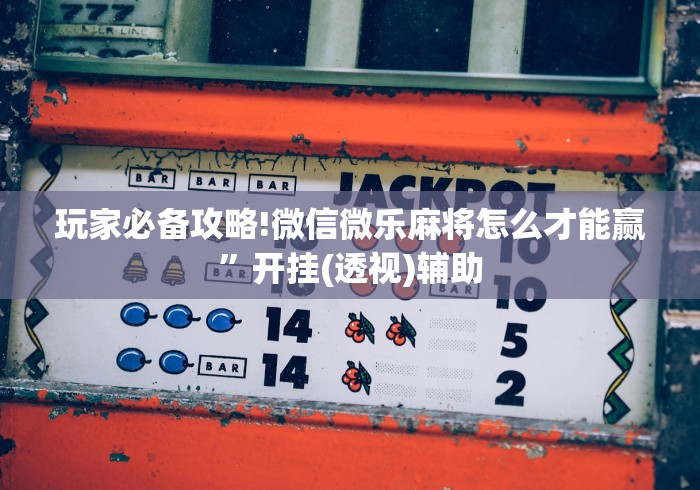 玩家必备攻略!微信微乐麻将怎么才能赢”开挂(透视)辅助