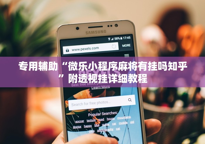 专用辅助“微乐小程序麻将有挂吗知乎”附透视挂详细教程