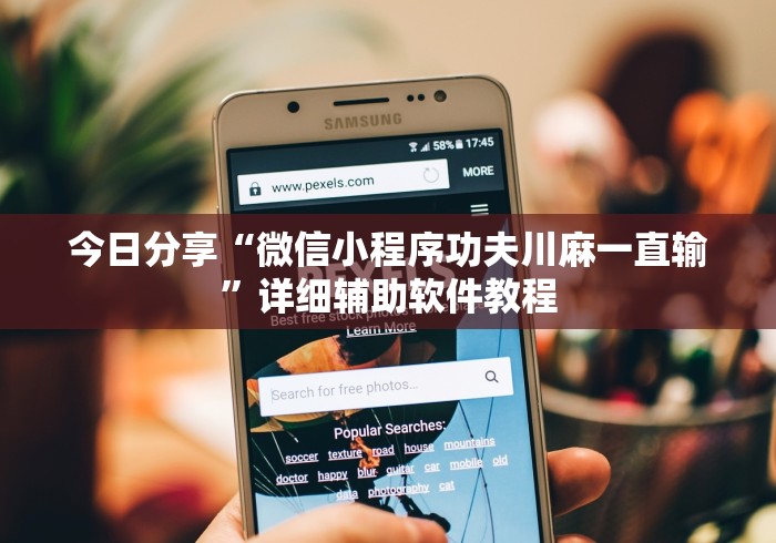 今日分享“微信小程序功夫川麻一直输”详细辅助软件教程