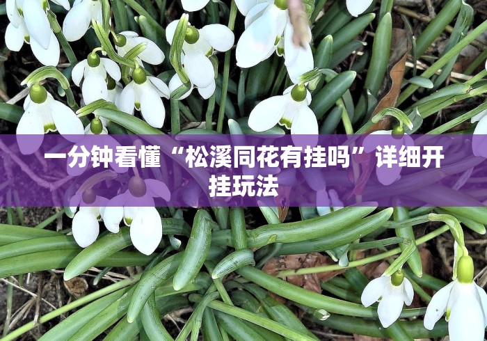 真实辅助“天天麻将天天输”开挂必胜方法