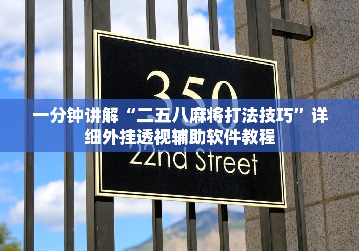一分钟讲解“二五八麻将打法技巧	”详细外挂透视辅助软件教程