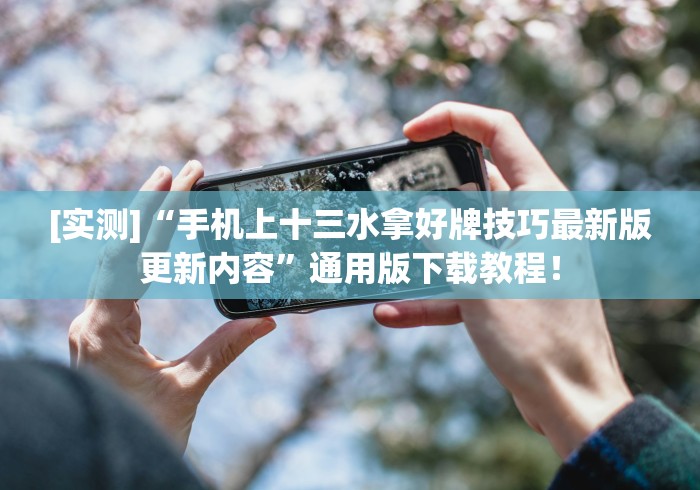 [实测]“手机上十三水拿好牌技巧最新版更新内容”通用版下载教程！