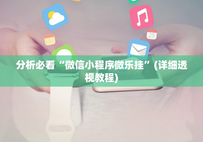 分析必看“微信小程序微乐挂”(详细透视教程)