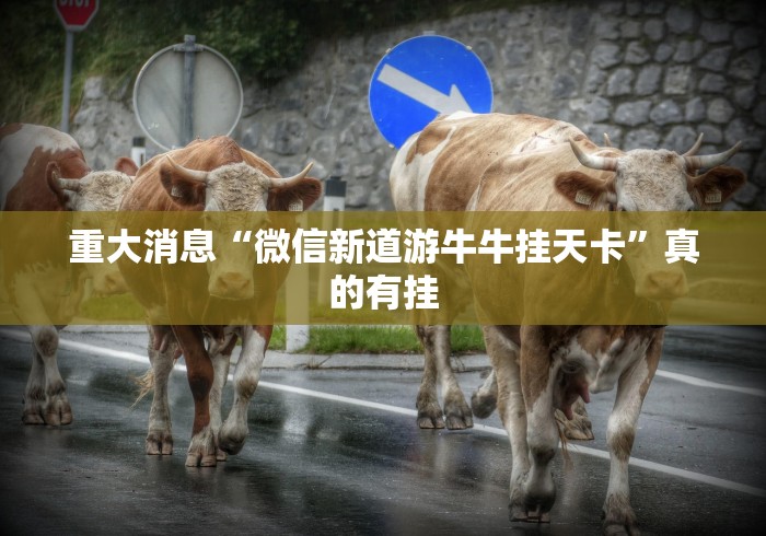 重大消息“微信新道游牛牛挂天卡”真的有挂