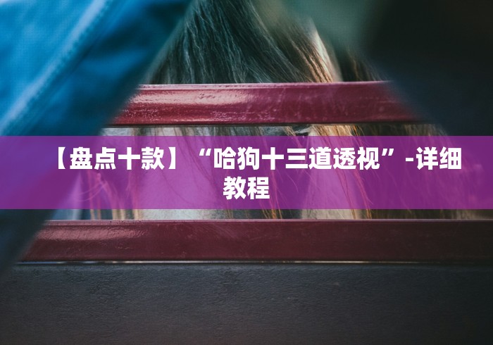 【盘点十款】“哈狗十三道透视”-详细教程