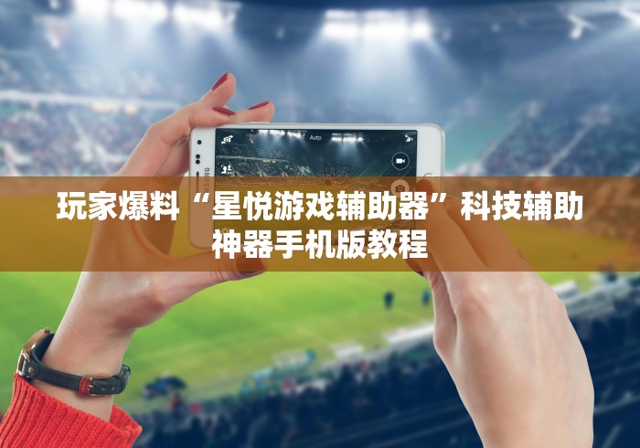 玩家爆料“星悦游戏辅助器”科技辅助神器手机版教程