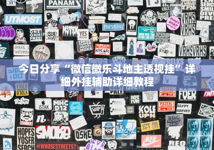 今日分享“微信微乐斗地主透视挂	”详细外挂辅助详细教程