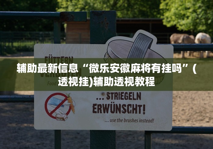 辅助最新信息“微乐安徽麻将有挂吗”(透视挂)辅助透视教程