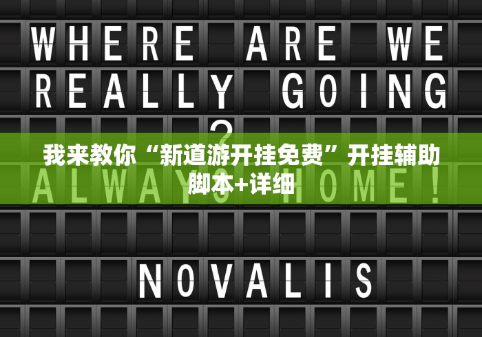 我来教你“新道游开挂免费”开挂辅助脚本+详细