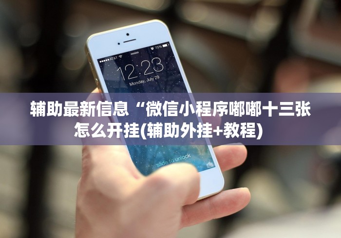 辅助最新信息“微信小程序嘟嘟十三张怎么开挂(辅助外挂+教程) 