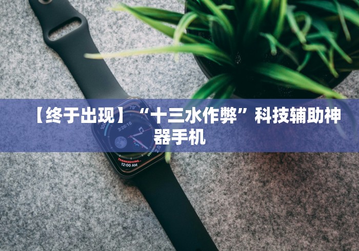 【终于出现】“十三水作弊”科技辅助神器手机