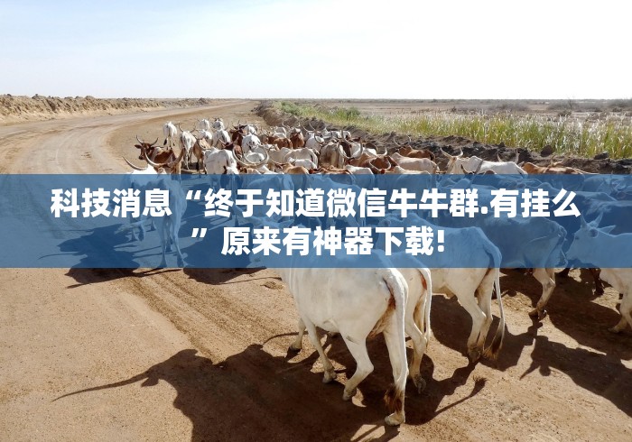 科技消息“终于知道微信牛牛群.有挂么”原来有神器下载!