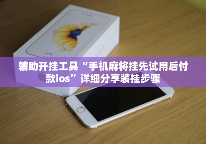 辅助开挂工具“手机麻将挂先试用后付款ios	”详细分享装挂步骤