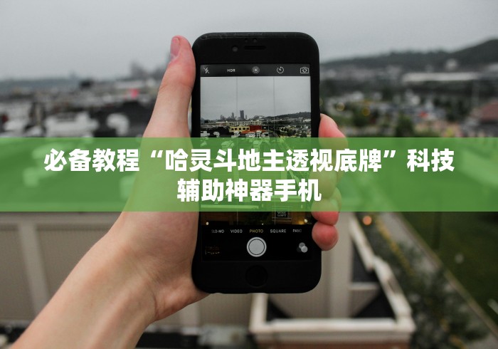 必备教程“哈灵斗地主透视底牌”科技辅助神器手机